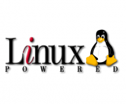 Proč mít právě Linuxový server?